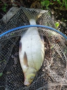 IMG_20190511_064829.jpg