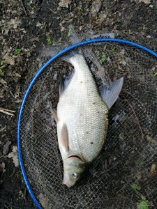IMG_20190511_122032.jpg