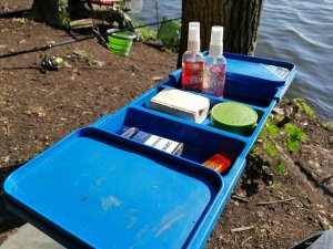 IMG_20190511_081923[1].jpg