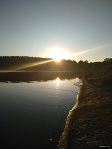 IMG_20190511_053313.jpg
