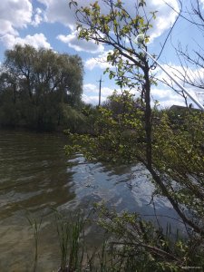 IMG_20190506_125530.jpg