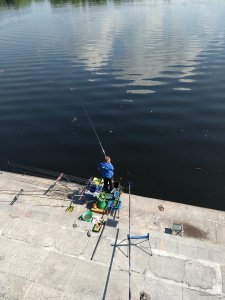 IMG_20190512_105735226.jpg