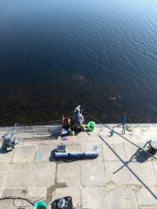 IMG_20190512_085814967.jpg
