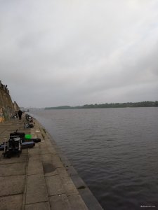 IMG_20190510_063546316.jpg