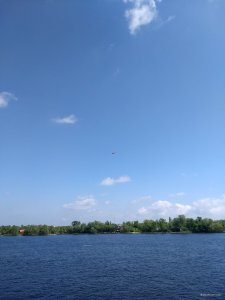 IMG_20190510_103601879.jpg