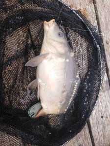 IMG_20190512_134908.jpg
