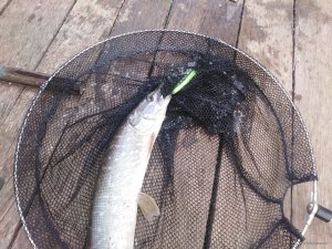 IMG_20190512_141842.jpg