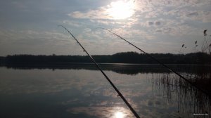 IMG_20190426_071954.jpg
