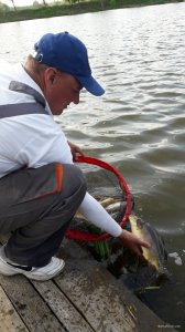 20190513_162822.jpg