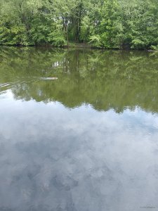 IMG_20190512_140924.jpg