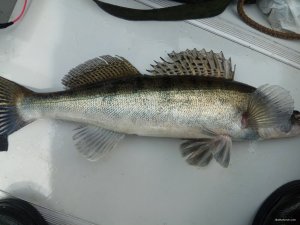 IMG_20190510_105403.jpg