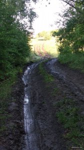 IMG_20190511_070347.jpg