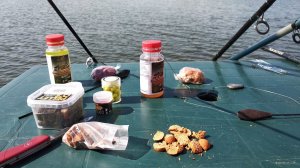 IMG_20190511_091704.jpg