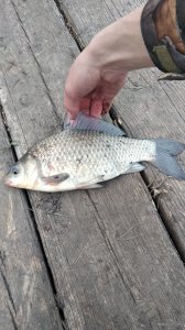 IMG_20190511_185946.jpg