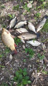 IMG_20190512_120547.jpg