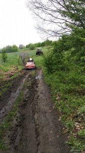 IMG_20190512_115449.jpg