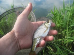 IMG_0238.JPG