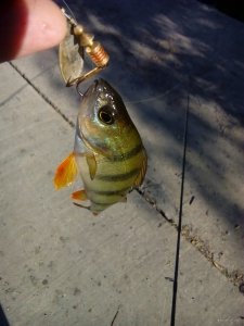 IMG_20190518_072948.jpg
