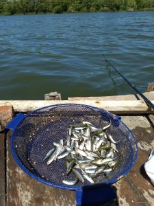 IMG_20190519_114819186.jpg