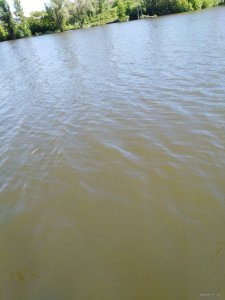 IMG_20190519_094250.jpg