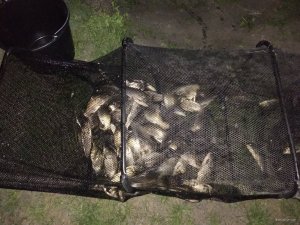 IMG_20190517_220527.jpg