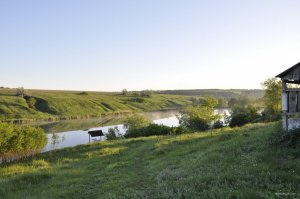 _DSC4646.JPG