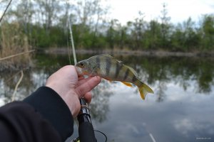 DSC_0255.JPG