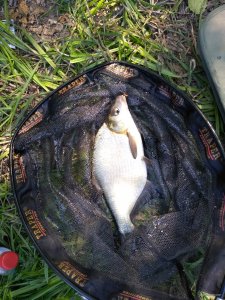 IMG_20190520_110850.jpg