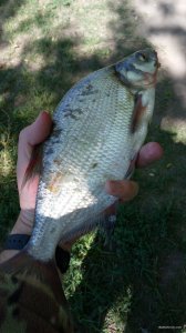 IMG_20190520_102624.jpg
