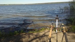 IMG_20190520_131040_118.jpg