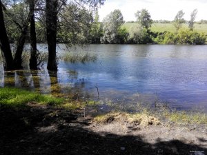 IMG_20190521_092754.jpg