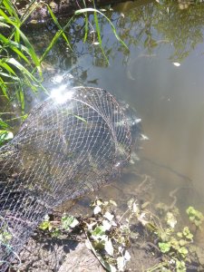 IMG_20190519_103449.jpg