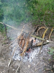 IMG_20190521_191344.jpg