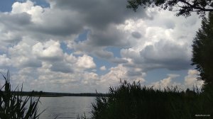 IMG_20190524_112635.jpg