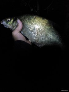 IMG_20190527_025231.jpg