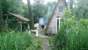 IMAG0304.jpg