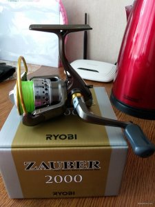 IMG_20190525_114016.jpg