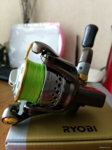 IMG_20190525_114153.jpg
