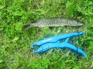IMG_20190526_095343_525[1].jpg