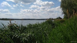 IMG_20190527_144953.jpg