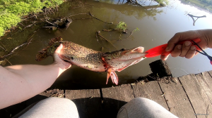 vlcsnap-2019-05-28-14h43m14s771.png