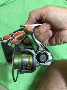 IMG_1478.jpg