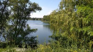 IMG_20190529_145538.jpg