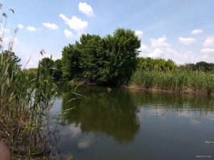 IMG_20190528_124807320_BURST001.jpg