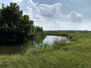 IMG_20190528_131112384_HDR.jpg