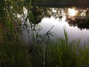 IMG_20190528_190247984.jpg