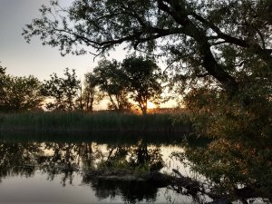 IMG_20190528_195815264_HDR.jpg