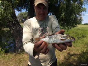 IMG_20190529_132936615.jpg