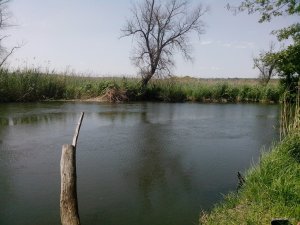 IMG_20190530_130806-small.jpg