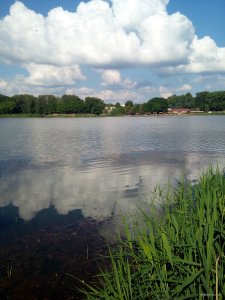 IMG_20190602_162940.jpg